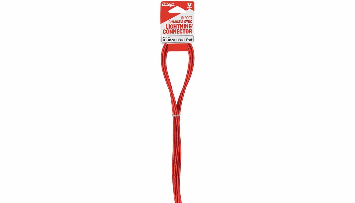 Casey's Lightning Braided Cable 10ft